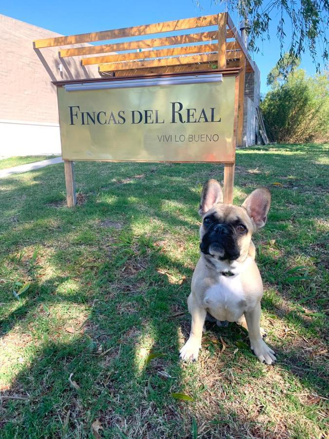 Fincas Del Real Colonia del Sacramento Luaran gambar